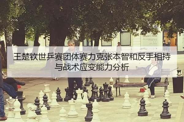 wang-chu-qin-shi-ping-sai-tuan-ti-sai-li-ke-zhang-ben-zhi-he-fan-shou-xiang-chi-yu-zhan-shu-ying-bian-neng-li-fen-xi-2-664.jpg
